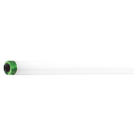 PHILIPS PRODUCTS 927871084104 LINEAR FLUOR BULB T8 48 L R17D 4100K