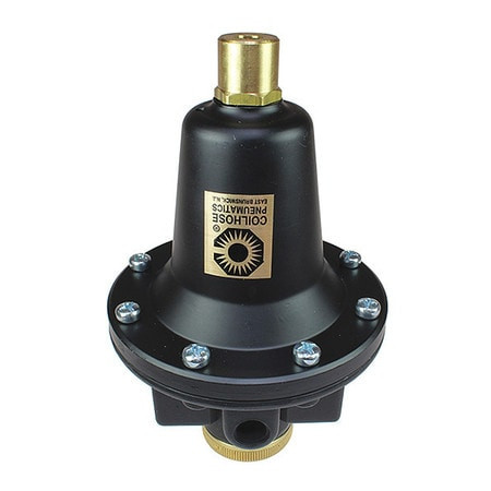 COILHOSE PNEUMATICS CO 8802KL REGULATOR TAMPERPROOF 0-60PSI 1/4