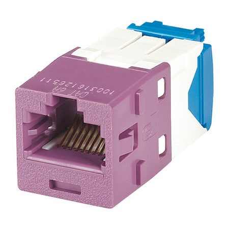 PANDUIT CORPORATION CJ6X88TGVL MOD CAT6A UTP 8P 8W UNIV VL