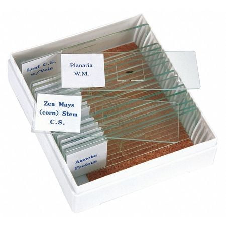 PREMIERE PS16 SLIDE SET PREPARED BIOLOGY