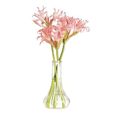 CAMBRO MANUFACTURING BV6CW135 VASE BUD CLEAR