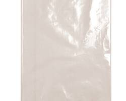 ELKAY 20F-0505 BAG FLAT 5X5" 2 MIL POLY