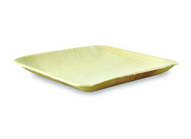 PACKNWOOD 210BBA2020 PLATE SQUARE 8X8" PALM LEAF