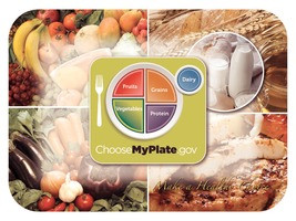 HOFFMASTER 427289 TRAYMAT 12-3/4X16-3/4" HEALTHY CHOICES