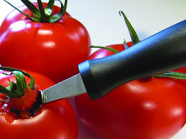 MATFER BOURGEAT 90417 CORER TOMATO