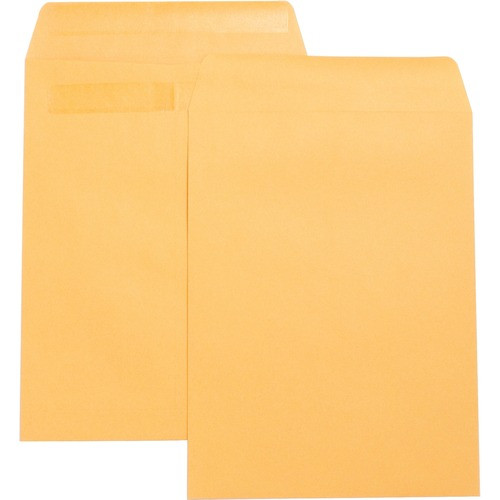 BUSINESS SOURCE 42123 PRESS/SEAL CATALOG ENVELOPES,100/BX