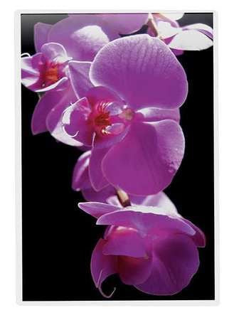 FELLOWES 5200501 POUCH,LAM,LTR,3ML,25PK