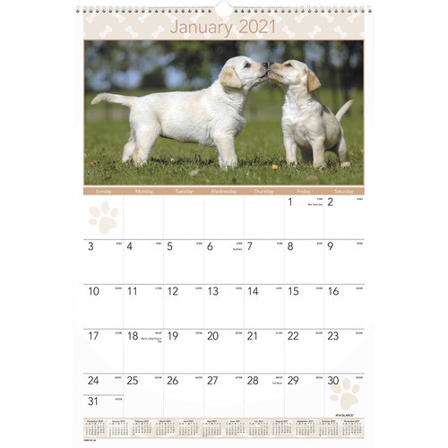 AT-A-GLANCE DMW16728 MONTHLY WALL CALENDAR,PUPPIES