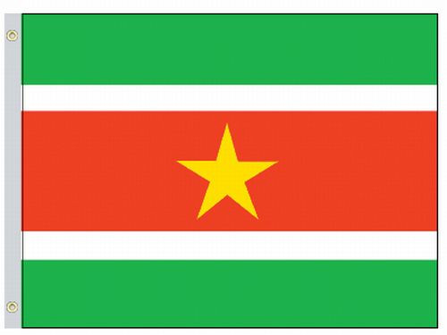VALLEY FORGE FLAG CO 58224360 PERMA-NYL 5'X8' NYLON SURINAME FLAG