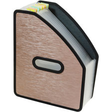 C-LINE PRODUCTS 53316 EXP FILE,13PKT,BRZ,STNDUP
