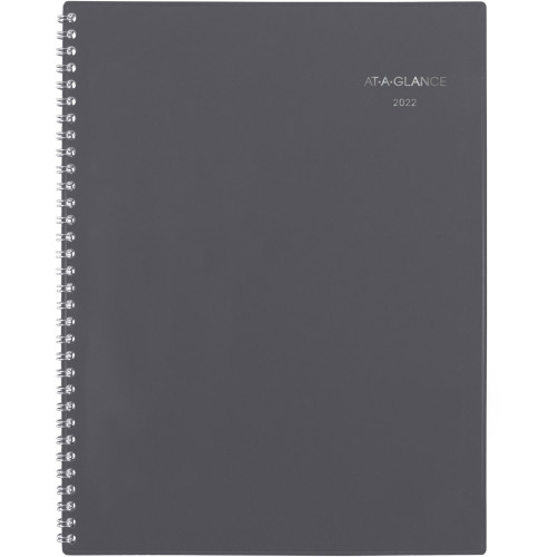 AT-A-GLANCE GC47007 PLANR,MNTH,DAYMINDER,GY,8.5X11