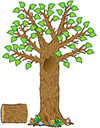 TEACHER CREATED RESOURCES 4405 SEASONAL TREE BB SET