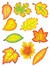 TEACHER CREATED RESOURCES 4419 ACCENT DAZZLERS AUTUMN LEAVES