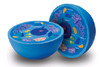 LEARNING RESOURCES 1900 ANIMAL CELL CROSSSECTION MODEL