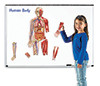 LEARNING RESOURCES 6044 DOUBLE-SIDED MAGNETIC HUMAN BODY