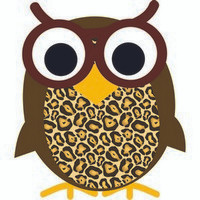 ASHLEY PRODUCTIONS 10009 MAGNETIC WHTBOARD ERASER WISE OWL