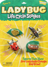 INSECT LORE 6090 LADYBUG LIFE CYCLE STAGES