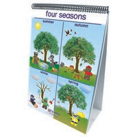 NEW PATH LEARNING NP-340024 FLIP CHARTS WEATHER & SKY EARLYCHILDHOOD