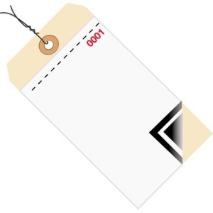 BOX PARTNERS G17503 INVENTORY TAGS, 6 1/4" X 3 1/8",500/CASE