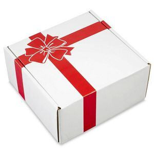USC S-21667BOW HOLIDAY MAILER - 10 X 10 X 5", RED BOW