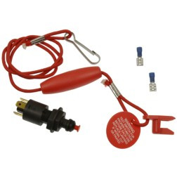 ECHLIN SW41 SWITCH - TOGGLE