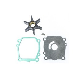 NAPA SMALL ENGINE 183254 WATER PUMP KIT