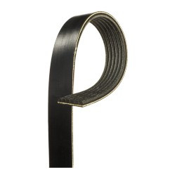 NAPA BELTS & HOSES 25060726A V-RIBBED BELT