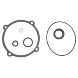 NAPA SMALL ENGINE 182698 SEAL KIT