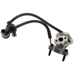 ECHLIN 226331 EGR VALVE KIT