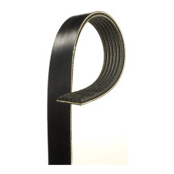 NAPA BELTS & HOSES 25030267A V-RIBBED BELT