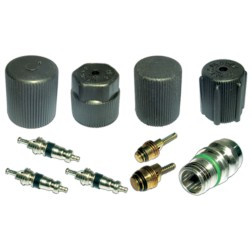 NAPA TEMP 801806 CAP AND VALVE KIT