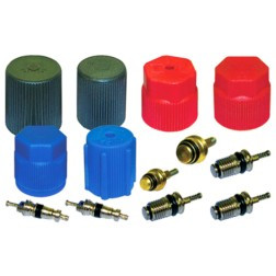 NAPA TEMP 801803 CAP AND VALVE KIT
