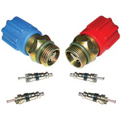 NAPA TEMP 801808 CAP AND VALVE KIT