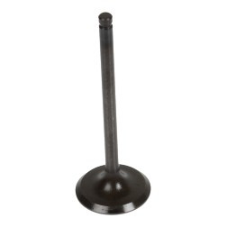 ALTROM CHEMICALS 9521RV INTAKE VALVE