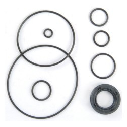 NAPA POWER STEERING PARTS 73687 PUMP SEAL KIT