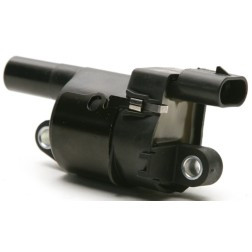 DELPHI GN10165 IGNITION COIL