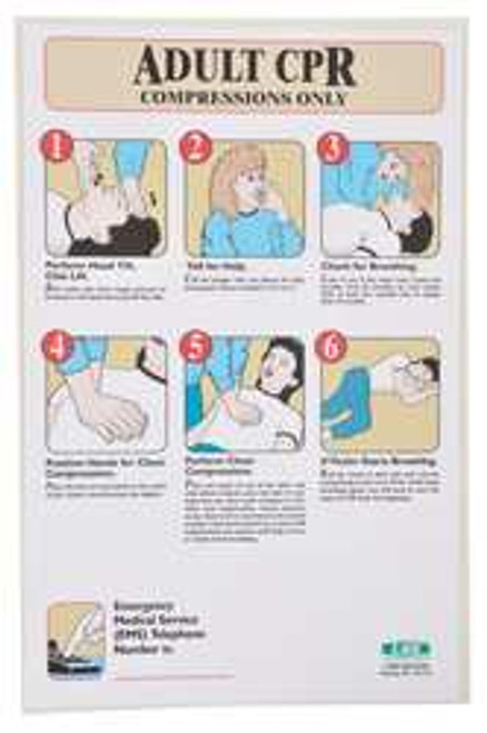 ACCUFORM SIGNS 197718 FIRST AID POSTER 17 X 11IN