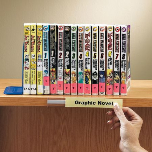 AIGNER INDEX R21 LABEL HOLDERS, 1/2" X 6", CLEAR, REMOVAB