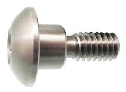 ACCURATE MFD PRODUCTS Z1786 ARCHITECTURAL BOLT SS BUTTON 3/4X1IN