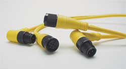 BRAD HARRISON 803006A09M100 CORDSET 3 PIN PLUG MALE