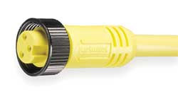 BRAD HARRISON 8040P1A09M020 CORDSET 4 PIN RECEPTACLE FEMALE