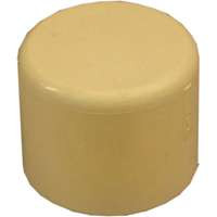 GENOVA PRODUCTS INC 50158 CAP CPVC 1/2 IN               