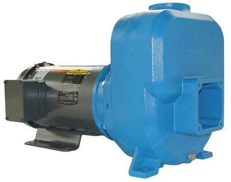 GOULDS WATER TECHNOLOGY 30SPM20 SELF PRIMING PUMP 3 HP CAST IRON