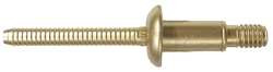MAGNABULB MBCP-R8-M5-PKT RIVET DOMED 1/4 IN DIA .189 GRIP PK25