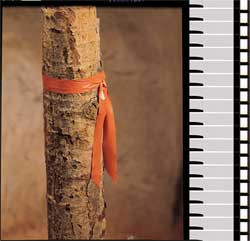 PRESCO PRODUCTS CO TF1O-188 TAFFETA FLAGGING TAPE ORANGE 300FT X 1IN