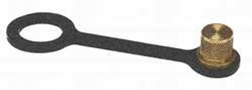 WATTS SAE-TC Brass Cap 1/8 SAE CAP,1/8 IN,SAE,USE W/WATTS SERIES SAE-TC