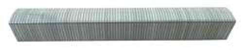 WESTWARD 10D667 POWER CROWN STAPLE 29/64 1/4 LEG PK 5000