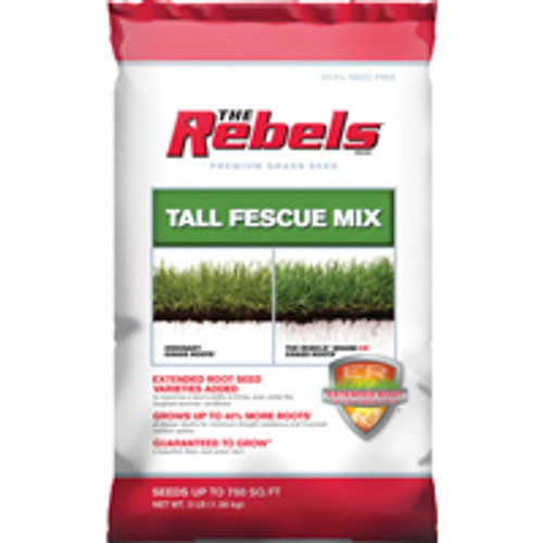 PENNINGTON SEED 100081768 REBEL TALL FESCUE MIX 3#      