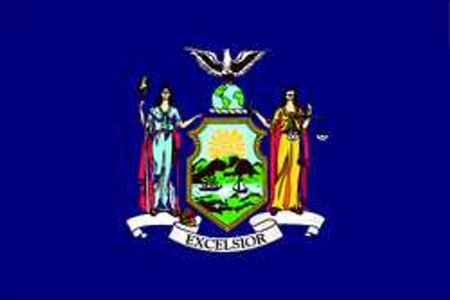 NYLGLO 143860 D3761 NEW YORK STATE FLAG 3X5 FT