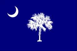 NYLGLO 144860 D3761 SOUTH CAROLINA STATE FLAG 3X5 FT